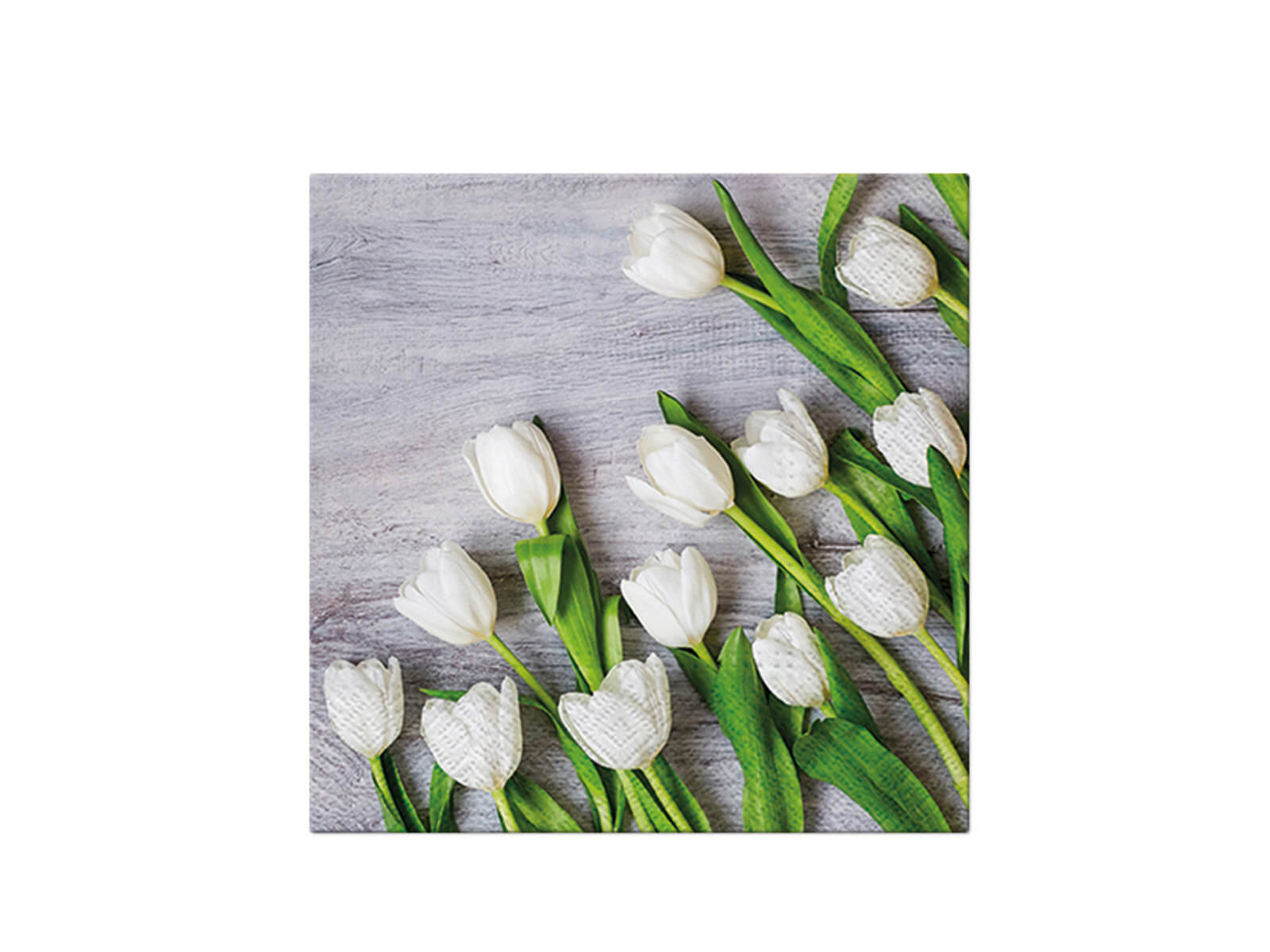 Serwetki papierowe białe tulipany