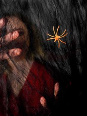 Pajęczyna czarna z pająkiem