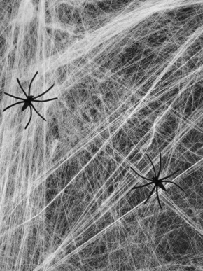 Pajęczyna biała z pająkami