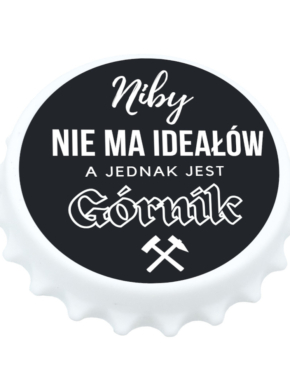 Niby nie ma ideałów a jednak jest Górnik