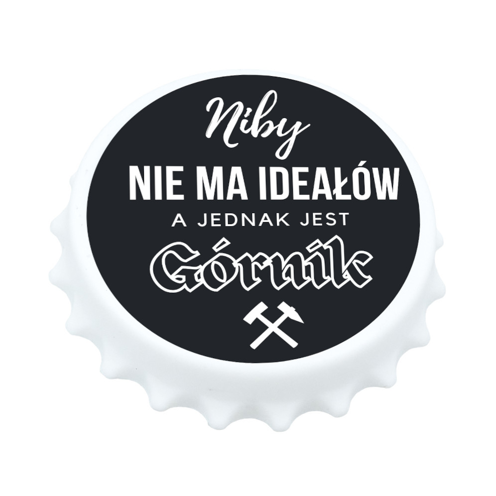 Niby nie ma ideałów a jednak jest Górnik