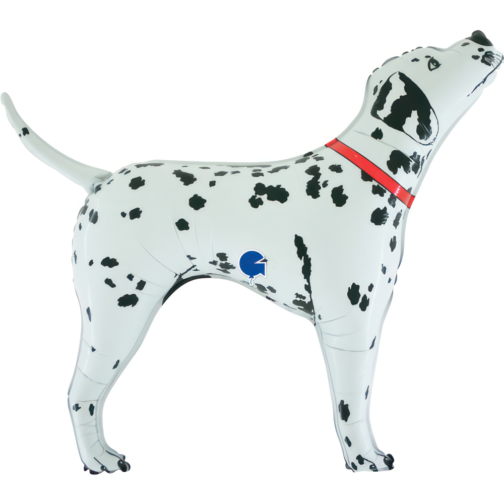 Balon foliowy Pies Dalmatyńczyk