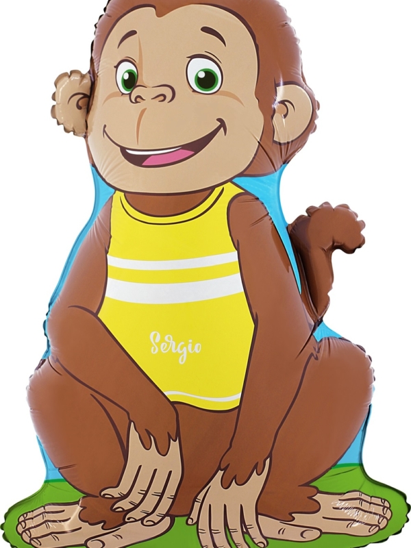 balon-foliowy-grabo-26-sergio-2312-a-260-luz